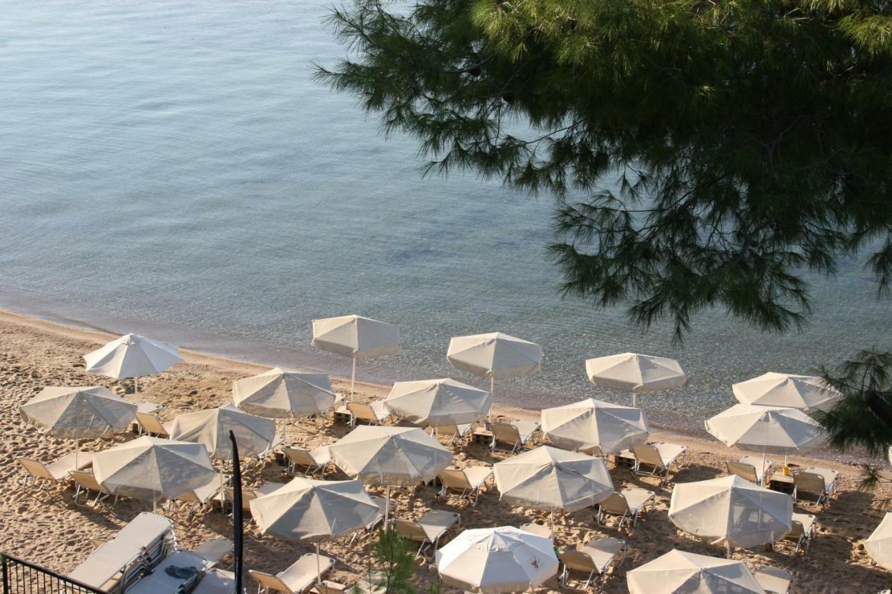 Cosy Apartment By The Sea Metamorfosi (Sithonia) Exterior foto