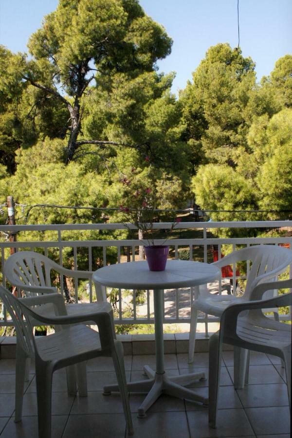 Cosy Apartment By The Sea Metamorfosi (Sithonia) Exterior foto