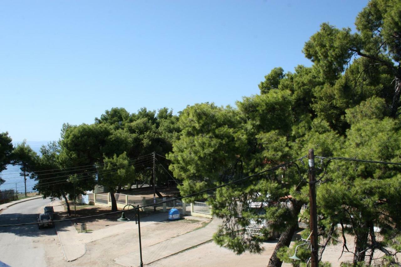 Cosy Apartment By The Sea Metamorfosi (Sithonia) Exterior foto