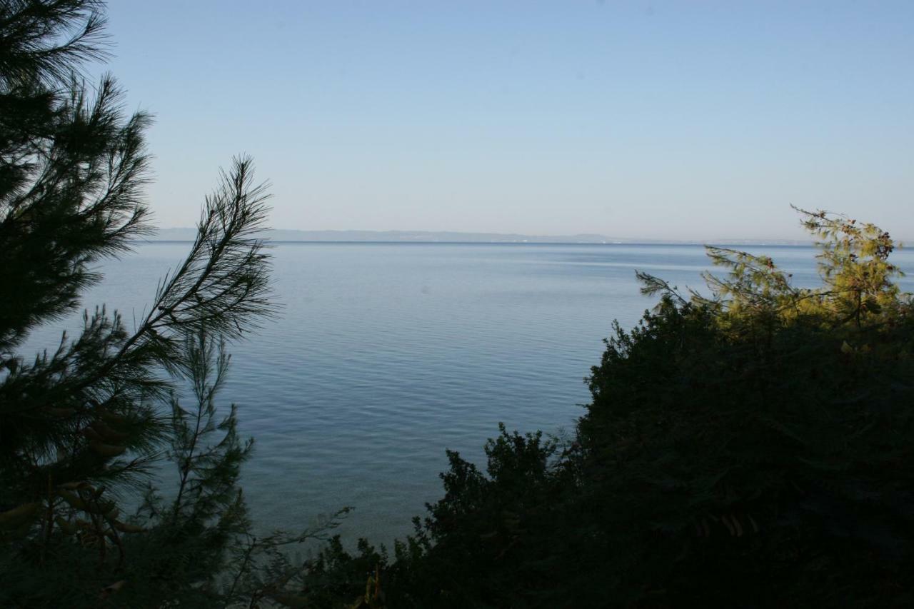 Cosy Apartment By The Sea Metamorfosi (Sithonia) Exterior foto