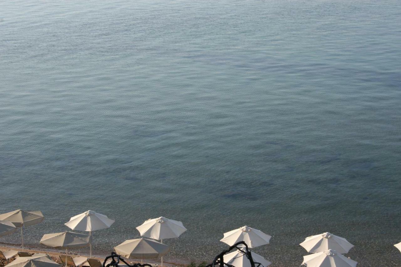 Cosy Apartment By The Sea Metamorfosi (Sithonia) Exterior foto
